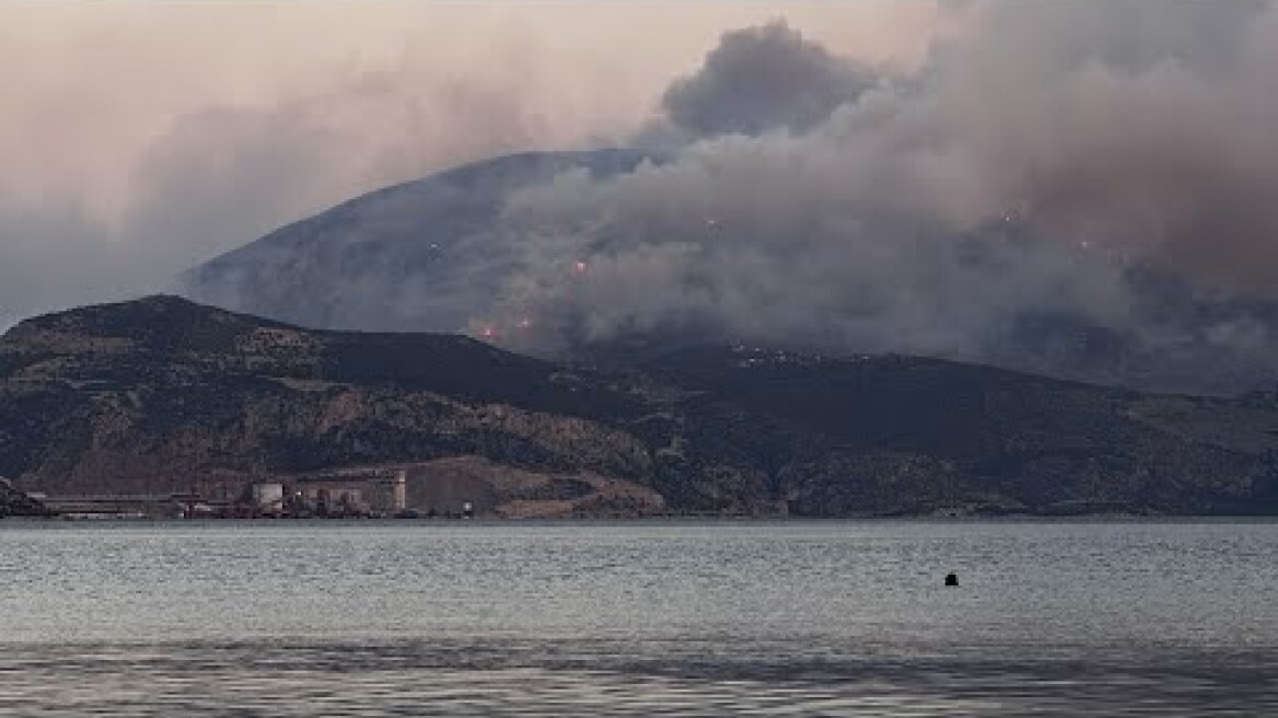 Από τη φωτιά στην περιοχή Ταρσός Βοιωτίας