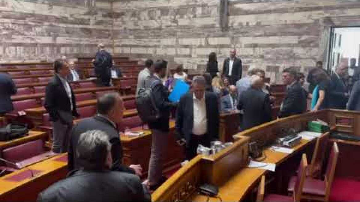 Ενημέρωση Θεοδωρικάκου στη Βουλή