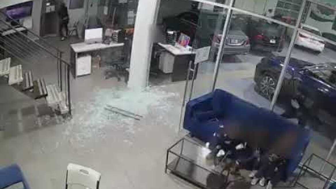 Father is shot as he shields his 3 young children from shootout at Bronx car dealership.