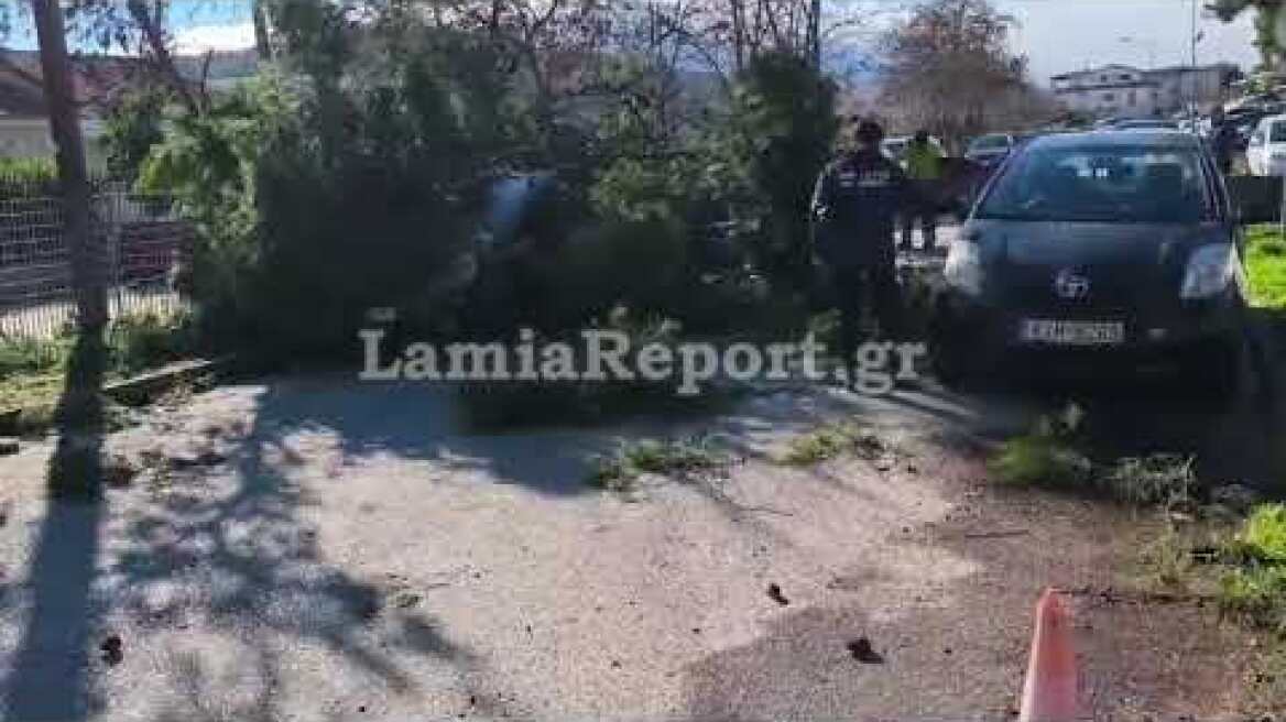 LamiaReport.gr: Ο αέρας έριξε δέντρο πάνω σε αυτοκίνητα στο Νοσοκομείο Λαμίας