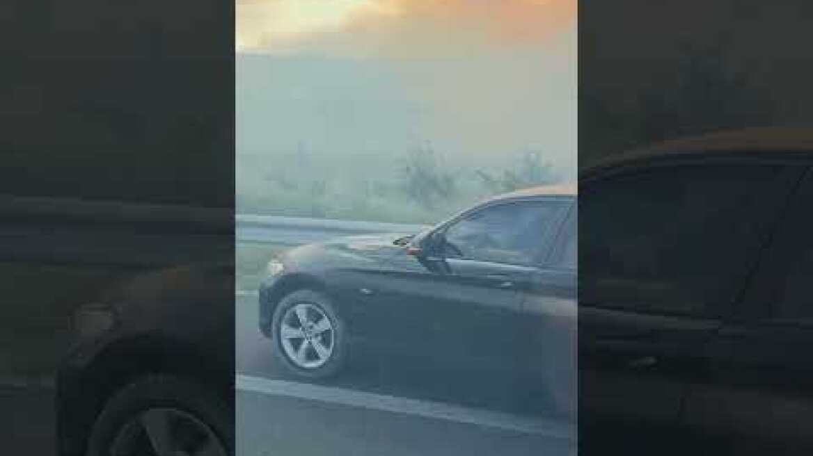 Φωτια σε χωράφια επι της εθνικής οδού Αθηνών-Λαμίας, οι φλόγες και ο καπνός κάλυπταν το δρόμο (2)