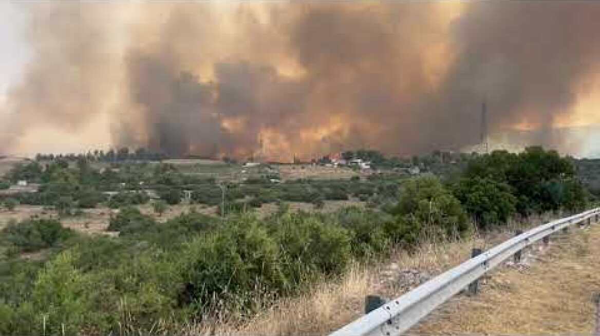 Μέγαρα περιοχή πουρνάρι