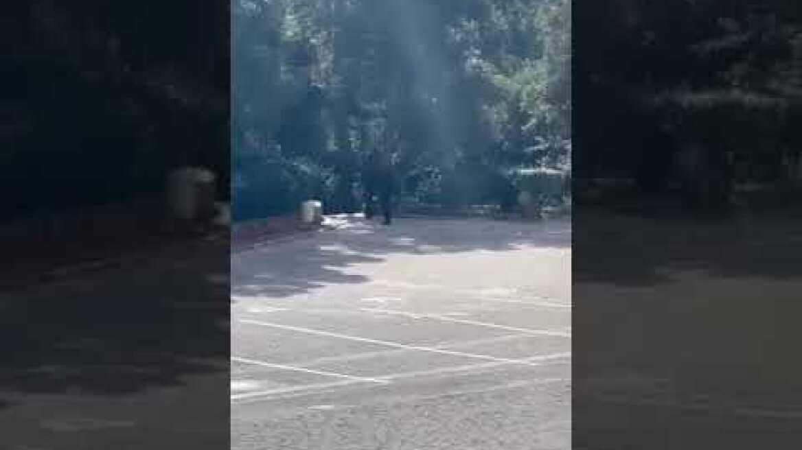 Κολλέγιο Αθηνών