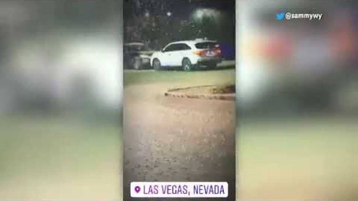 Thousands of grasshoppers invade Las Vegas
