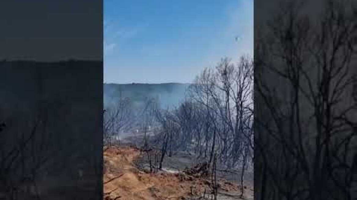 Συνεχείς ρίψεις από τα πυροσβεστικά ελικόπτερα στη φωτιά στο Σιδηρω Σουφλιου