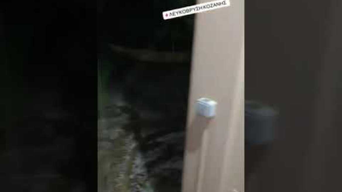 Χαλάζι Λευκόβρυση Κοζάνης (1)