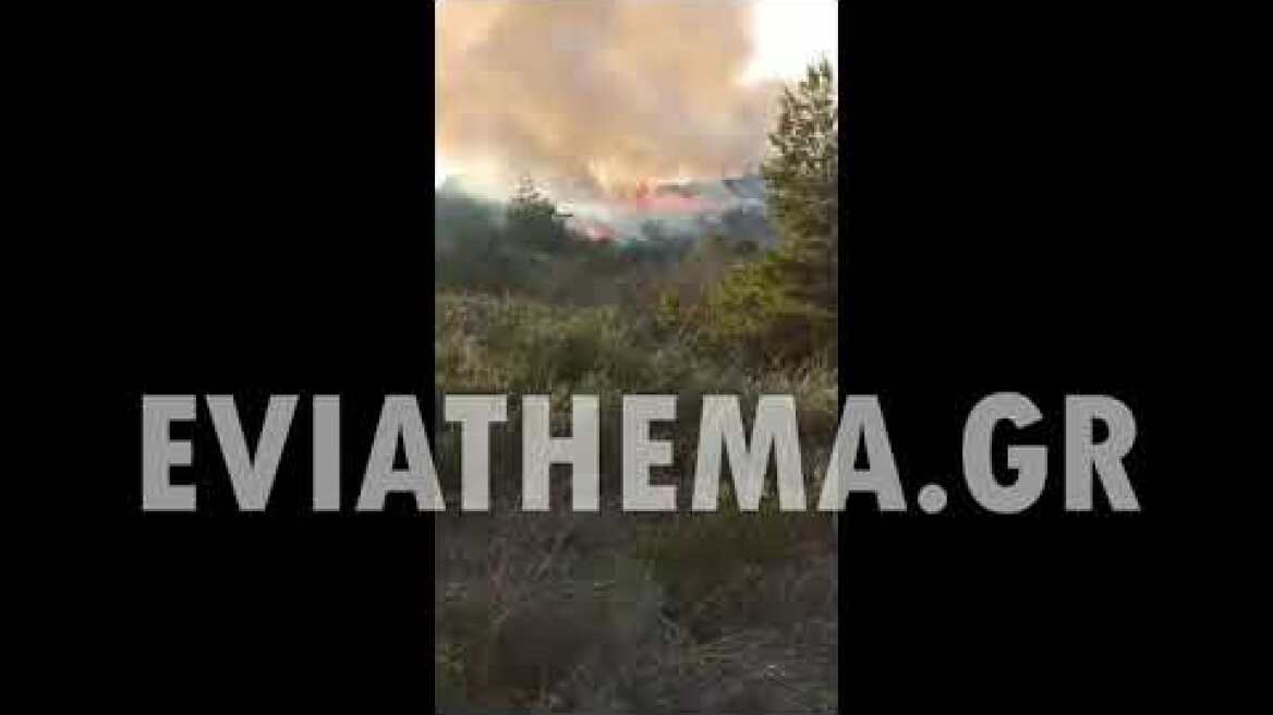 Eviathema.gr - Φωτιά στον Ωρωπό