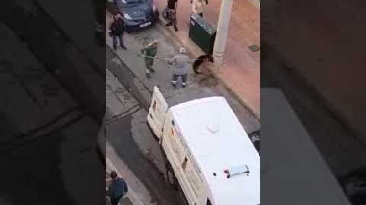 Δραπετσώνα: Συνελήφθη η ιδιοκτήτρια του λυκόσκυλου που κατασπάραξε μικρό κανίς 2