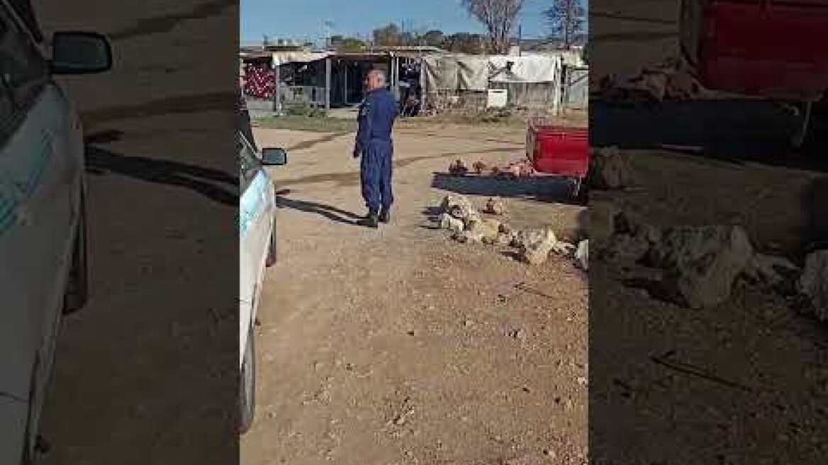 Μεγάλη Αστυνομική Επιχείρηση στα Άνω Λιόσια σε Οικισμό πλησίον  Αμαξοστάσιου   1