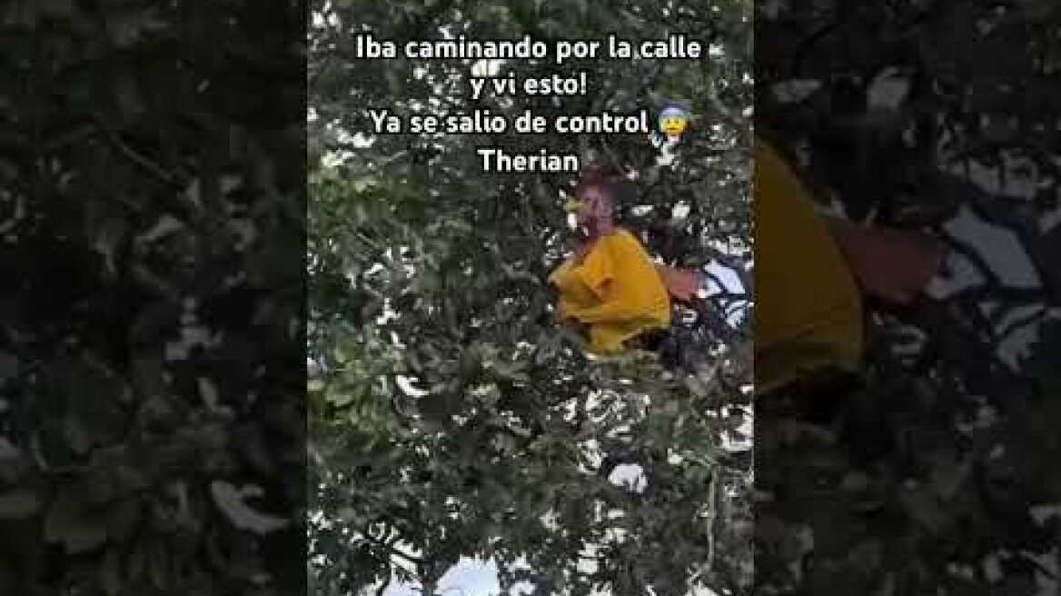 Therian 😰😰 #shortsviral #therian #humor