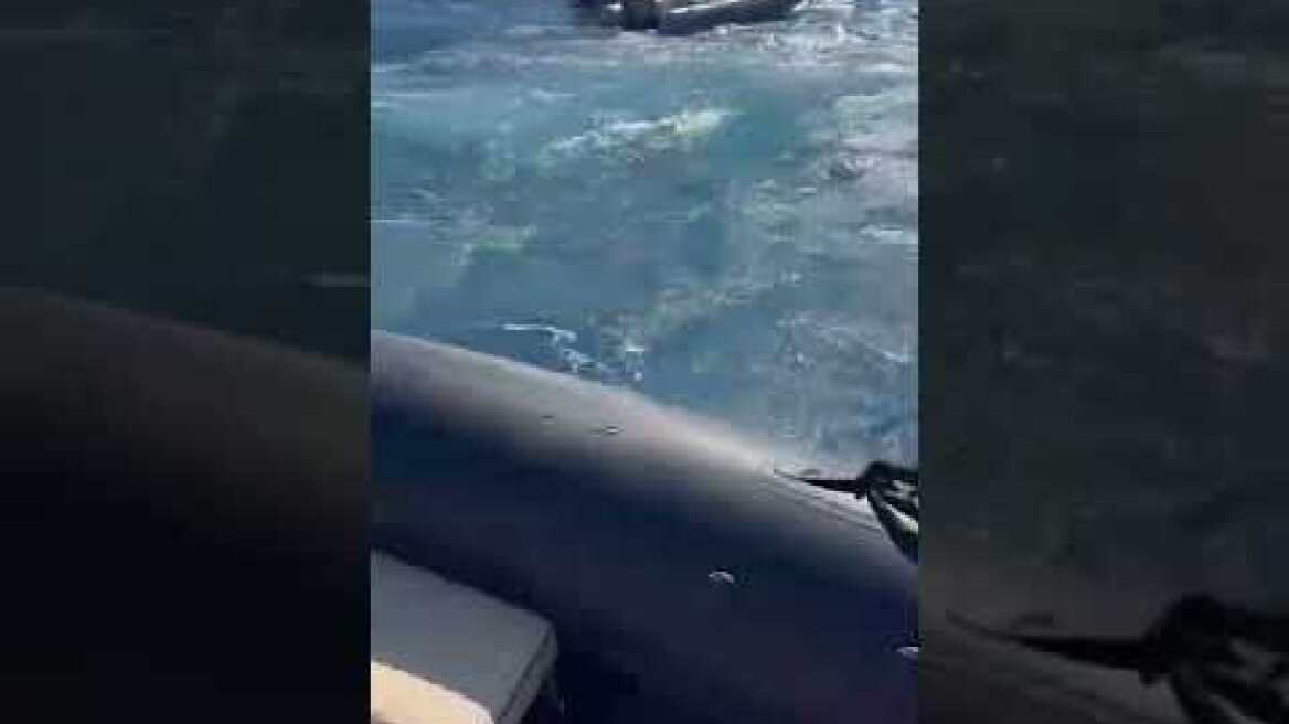 WhatsApp Video 2022 07 27 at 23 45 03