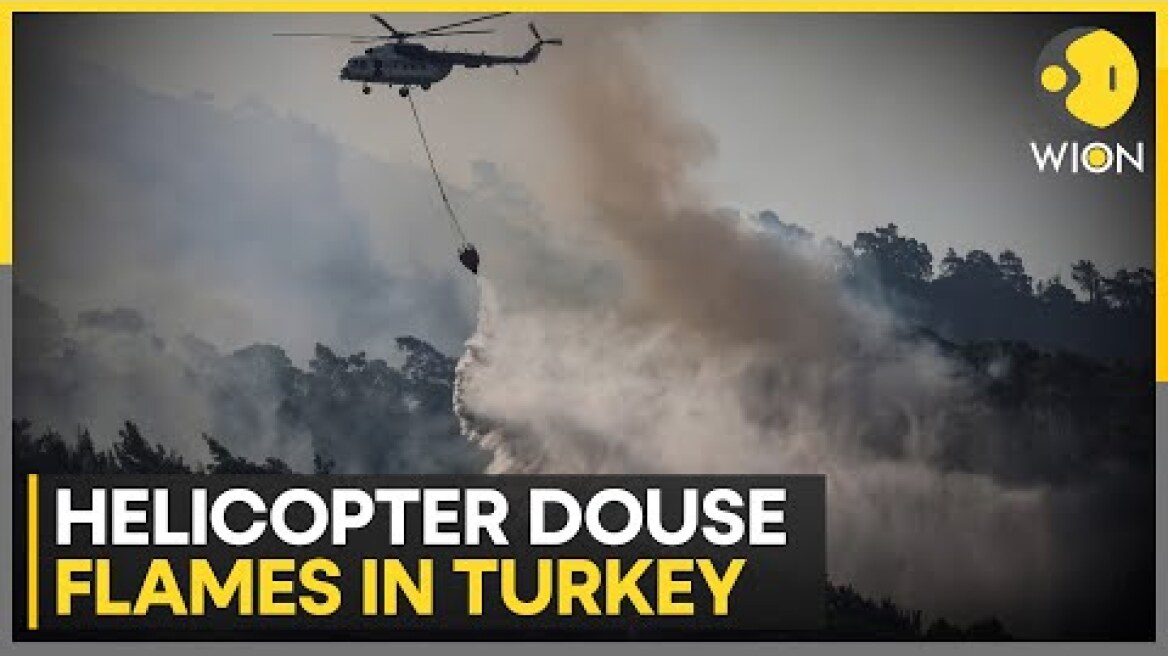 Turkey wildfire forces
