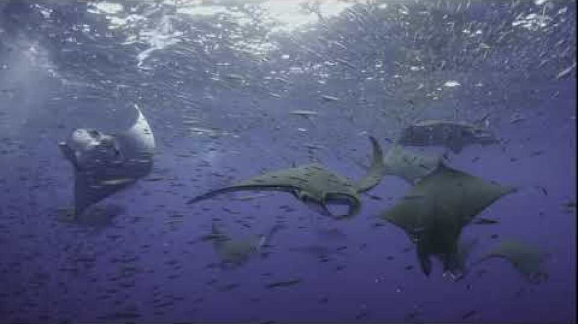 OCEANS  15 TV SPOT H264 FINAL