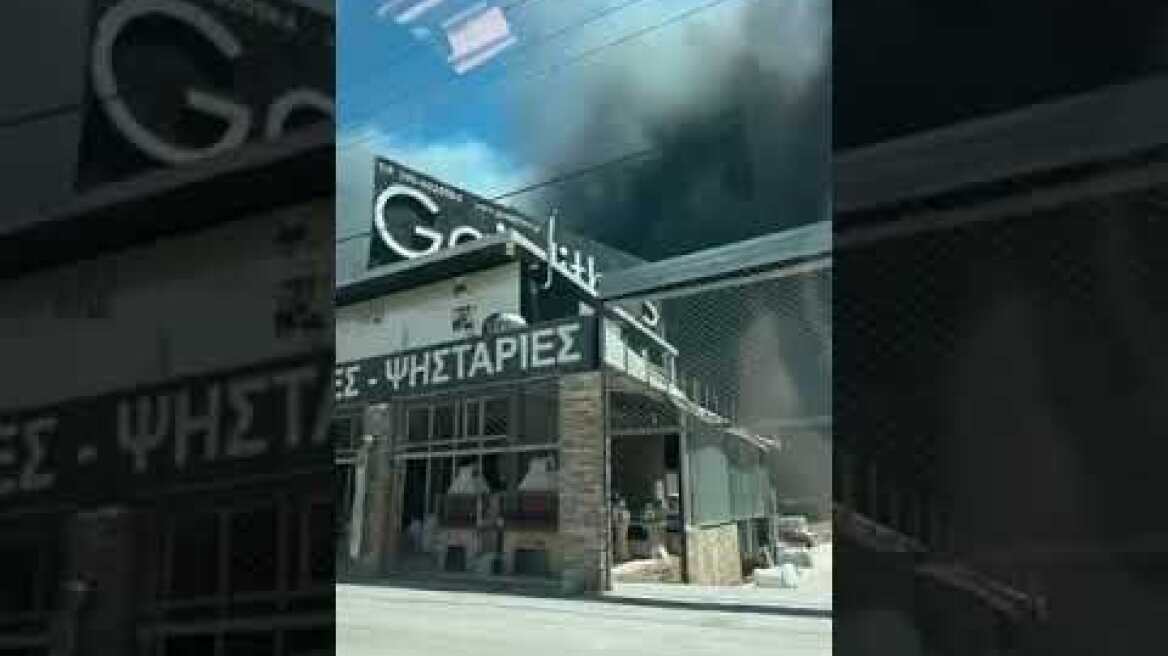 Φωτιά: Πυρκαγιά στη Βάρης-Κορωπίου, κοντά σε εργοστάσια και σπίτια