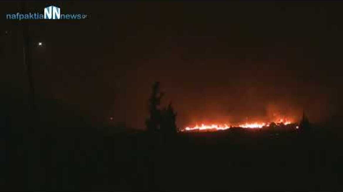 Απευθείας σύνδεση οι φλόγες πλησιάζουν την Τολοφώνα Δωρίδας