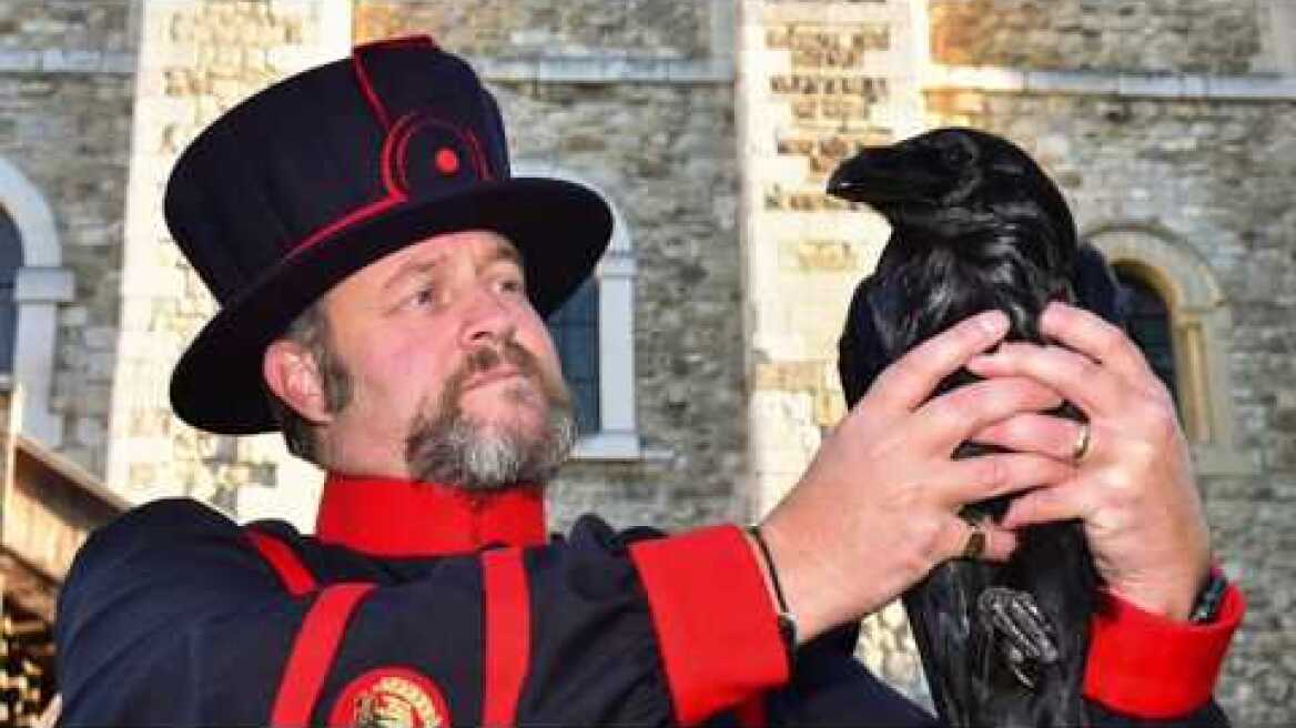 The Ravenmaster: My Life with the Ravens at The Tower of London by Christopher Skaife