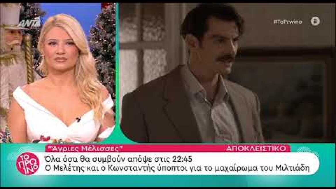 faysbook.gr Άγριες Μέλισσες