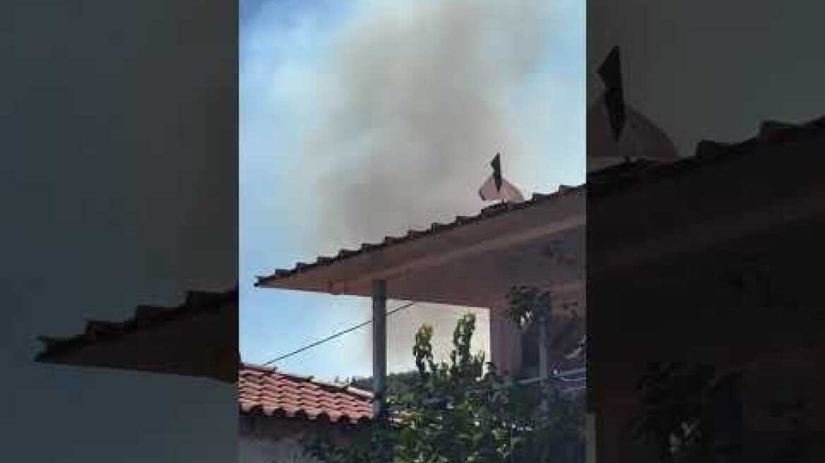 Φωτιά στη Μεσσηνία (1)