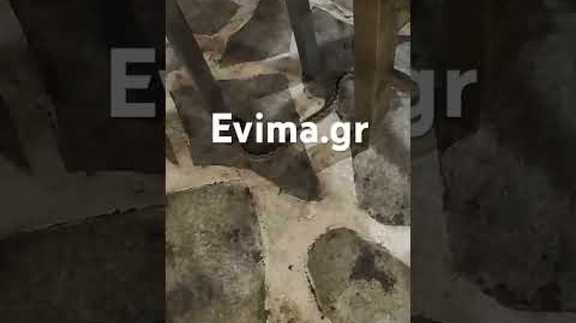 Φίδι σε ταβέρνα της Εύβοιας