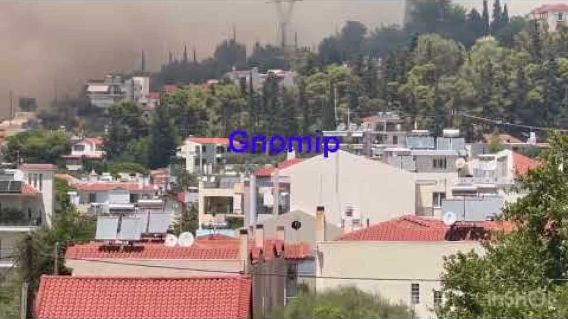 Πυρκαγιά στην Αρόη-Δραματικές στιγμές