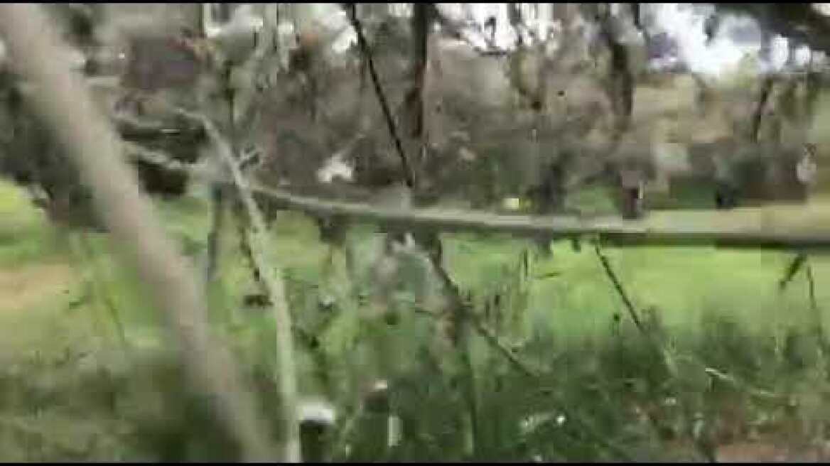 Εγκλωβισμένος στις κρυψώνες του το "τέρας του Κάβου- Δείτε βίντεο από την επιχείρηση της Αστυνομίας