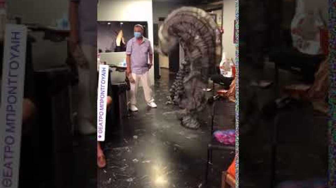 Ο Λάκης Γαβαλάς κάνει πασαρέλα ως Ζαζά στο Κλουβί με τις τρελές και είναι απολαυστικός