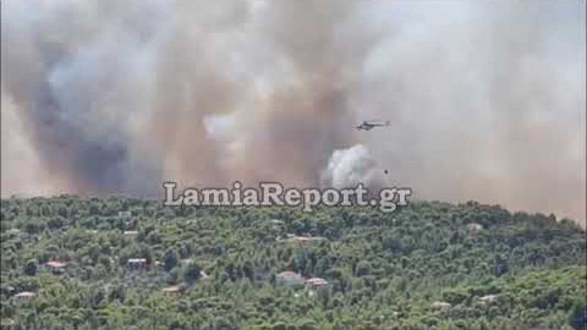 LamiaReport.gr: Η φωτιά στα σπίτια στο Θεολόγο