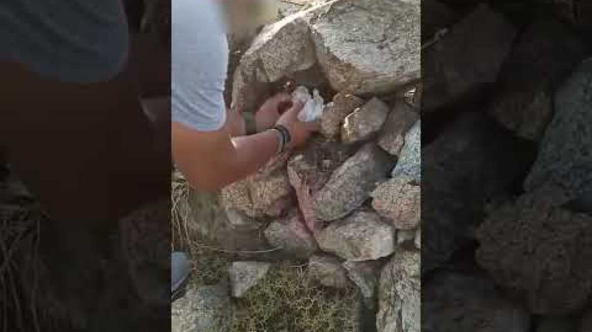 Εξαρθρώθηκε εγκληματική οργάνωση που διακινούσε διάφορα είδη ναρκωτικών στη Μύκονο