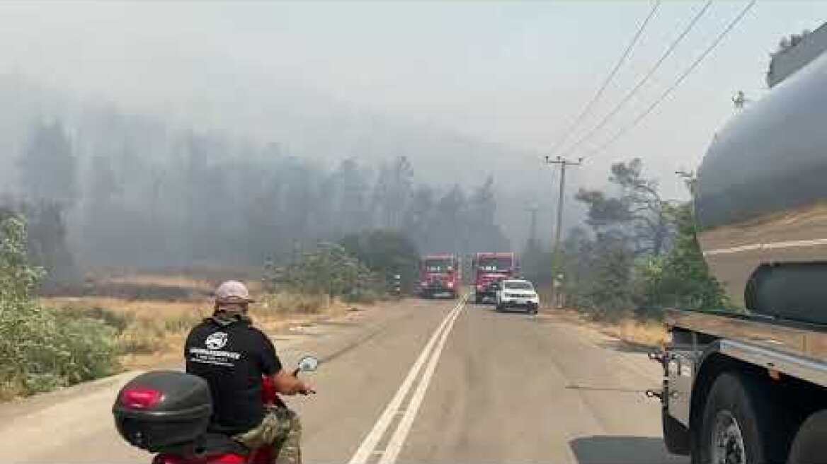 Φωτιά στον οικισμό «Προφήτης Ηλίας»