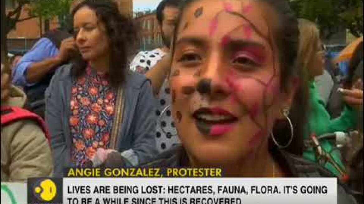 Protests over Amazon fires break out across the world