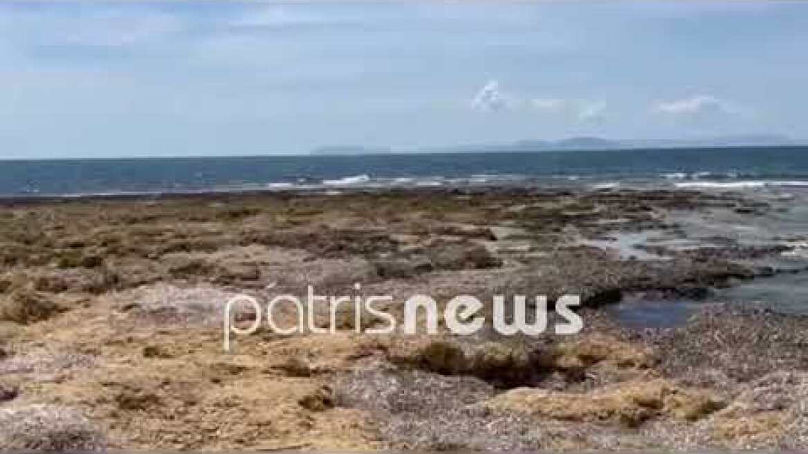 Νεκρός 45χρονος στην παραλία του Αγίου Ηλία