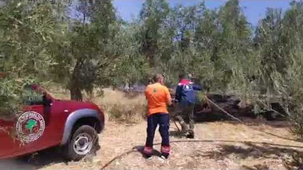 Φωτιά στους Αγ. Θεοδώρους Κορινθίας