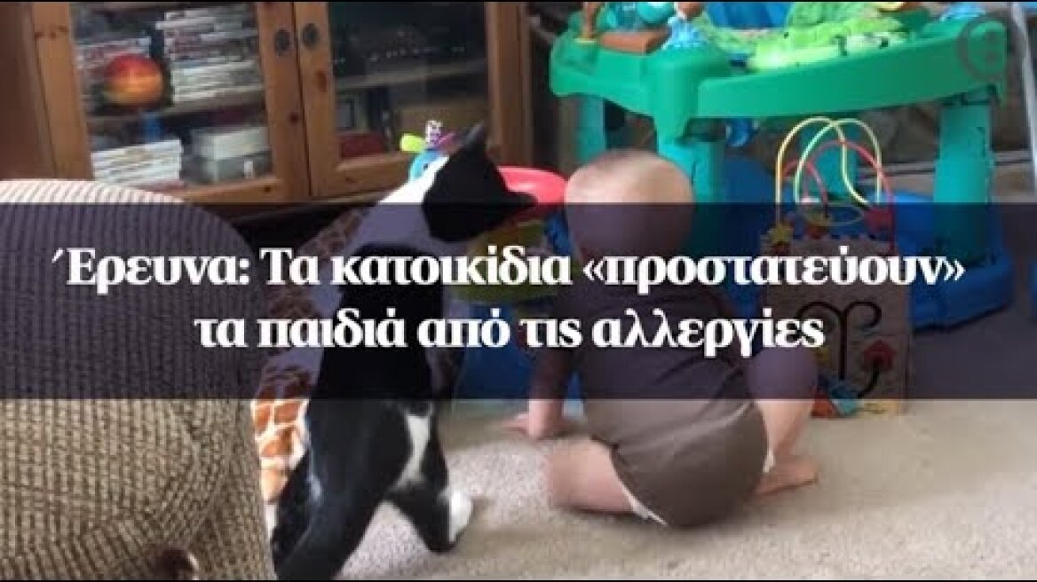 Έρευνα: Τα κατοικίδια «προστατεύουν» τα παιδιά από τις αλλεργίες