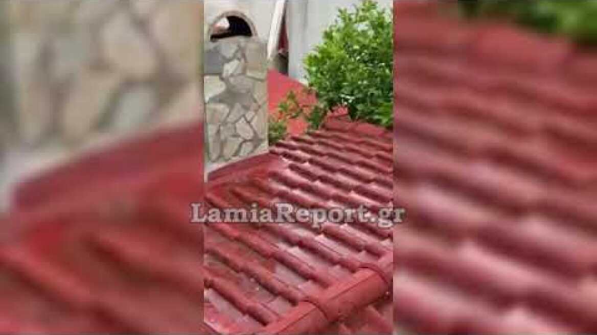 LamiaReport.gr: Χαλάζι στην Πελασγία