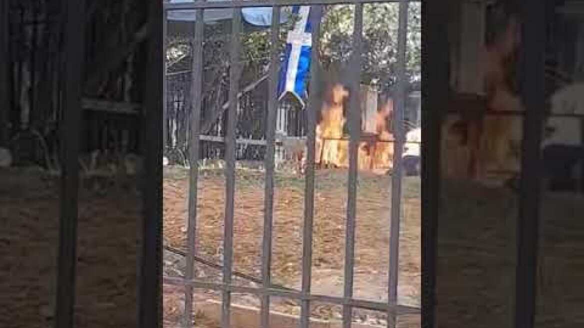 Αρνάκι σε εκκλησία