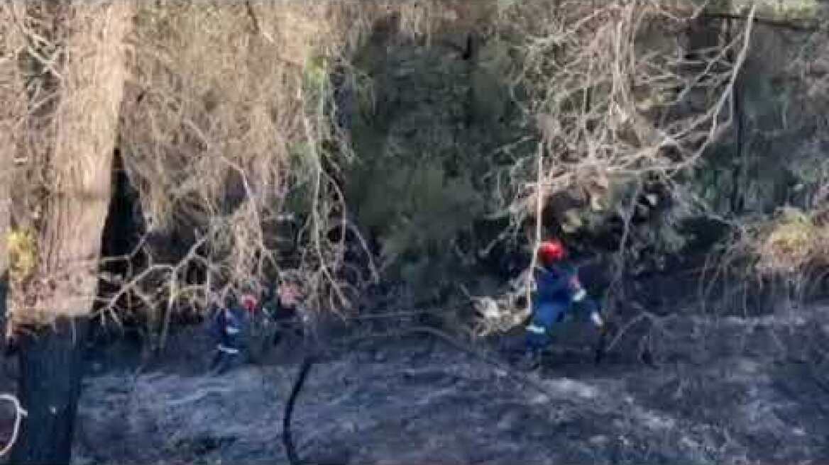 Φωτιά στη Χαλκιδική