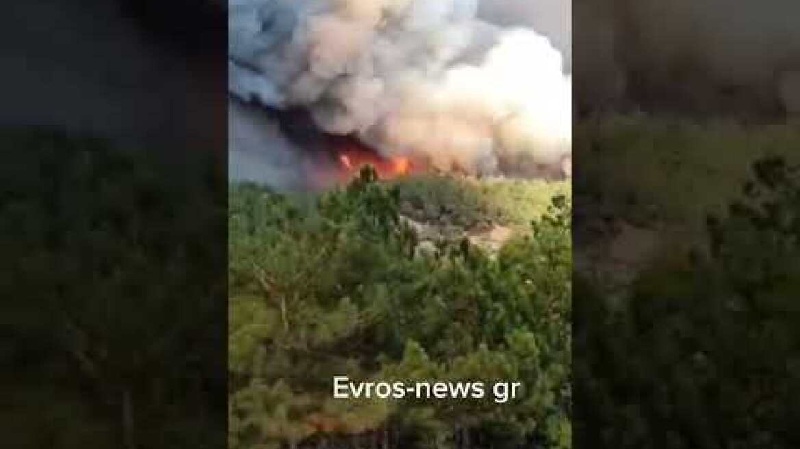 Η μεγάλη φωτιά στον πυρήνα του Δάσους Δαδιάς