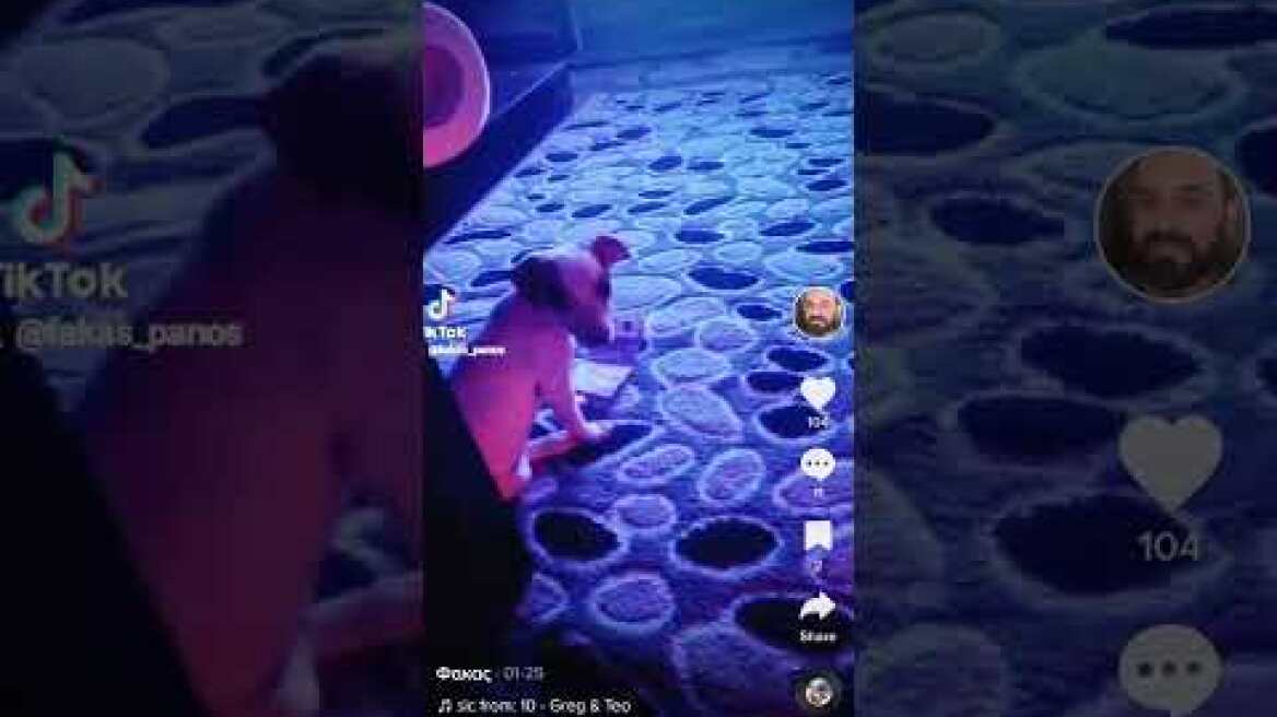 Ο “Έσκομπαρ” των Ρομά ...τάϊζε τον σκύλο του με 500ευρα