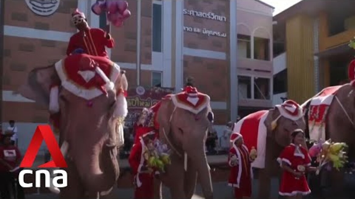 Elephants dressed as Santas delight schoolchildren in Thailand
