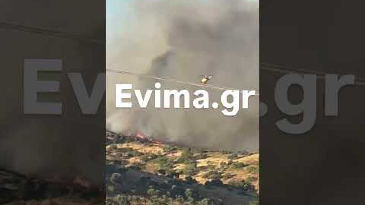 Επιχειρούν εναέρια μέσα στη φωτιά στα Μεσοχώρια της Εύβοιας: Νέο μήνυμα του 112 για εκκένωση του Λιμνιώνα, κοντά σε σπίτια οι φλόγες Μεγάλη φωτιά στην Εύβοια: Στη μάχη και τα εναέρια