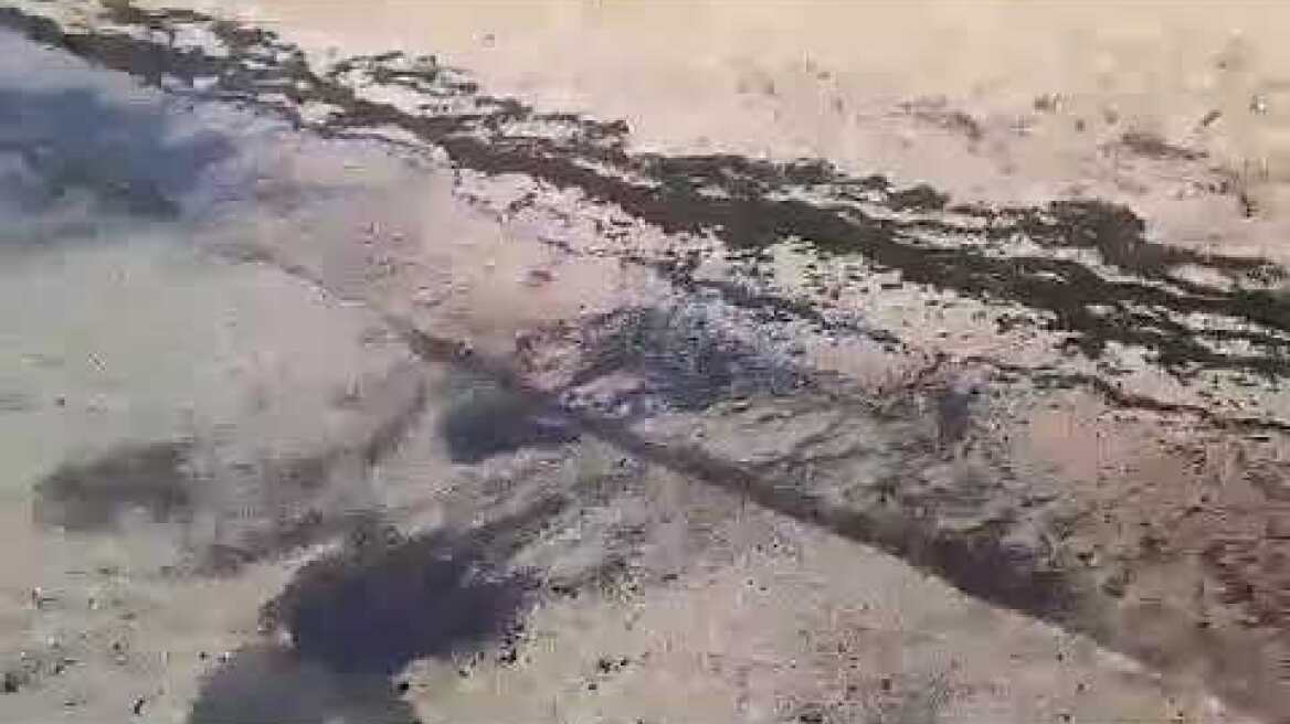 Παραλία Δροσιάς στη Χαλκίδα. Γέμισε αποκαΐδια