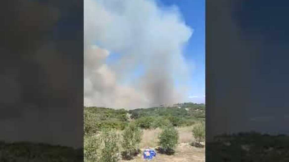 Φωτιά στην Αγία Πελαγία