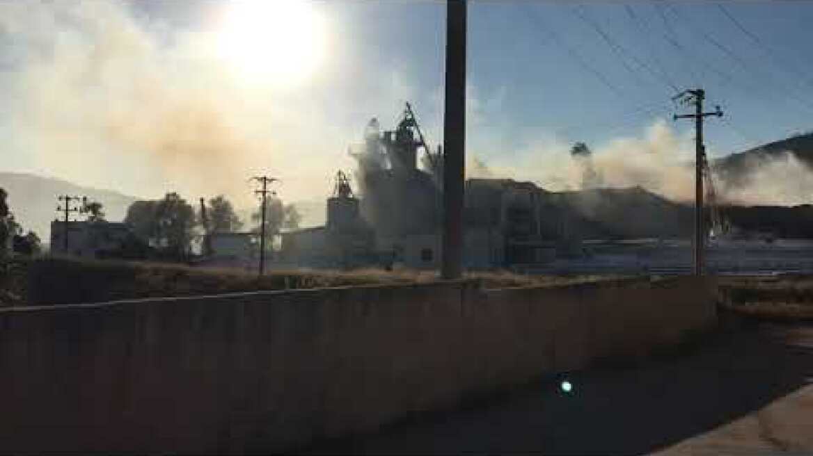 Φωτιά στη Φυλή