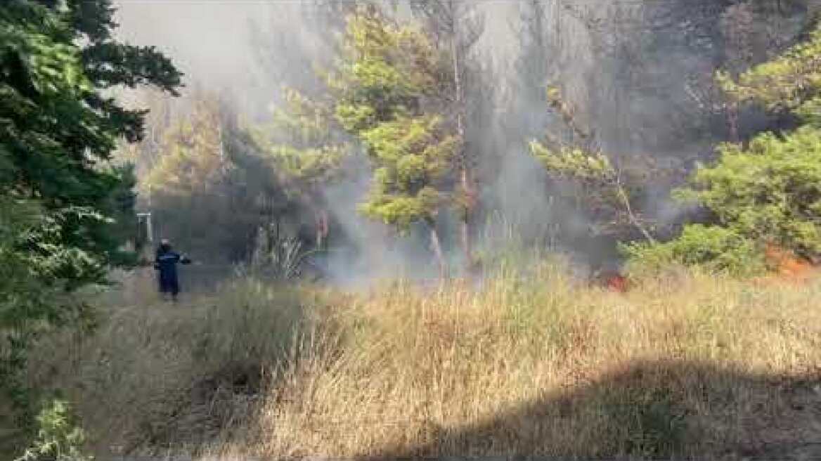 Φωτιά Διώνη (2)