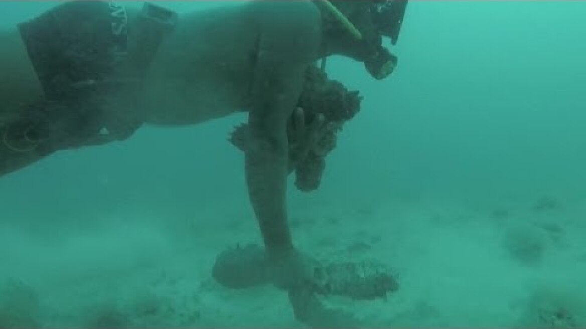 Hunt for Sea Cucumber Leads to Black Market