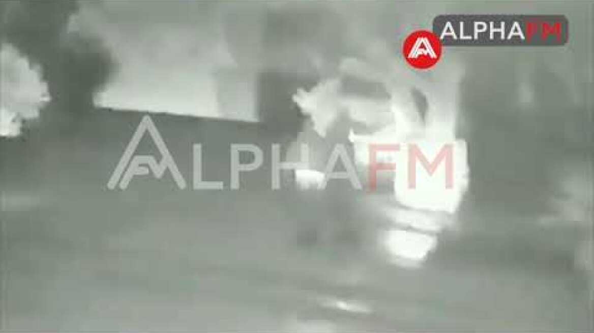 Καστοριά : Καθημερινά με αρκούδες να « κόβουν» βόλτες σε αυλές σπίτια και πλατείες…..ΒΙΝΤΕΟ