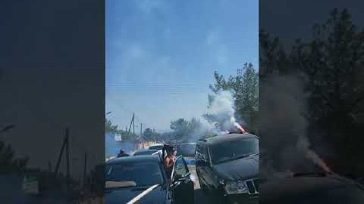 Μαυρίκιος Μαρικίου σε Ιλάειρα Ζήση: «Έτοιμος ο γαμπρός σου»