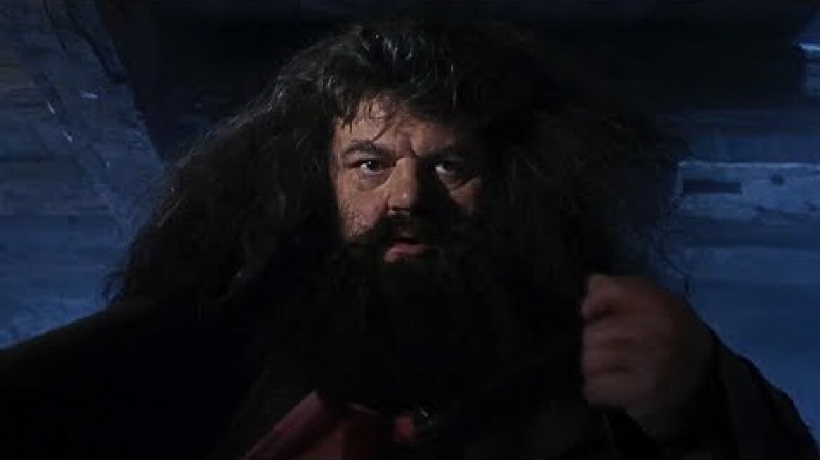A visit from Rubeus Hagrid | Harry Potter and the Philosopher's Stone
