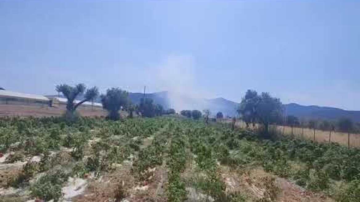 Φωτιά σε χορτολιβαδική έκταση στο Μαραθώνα