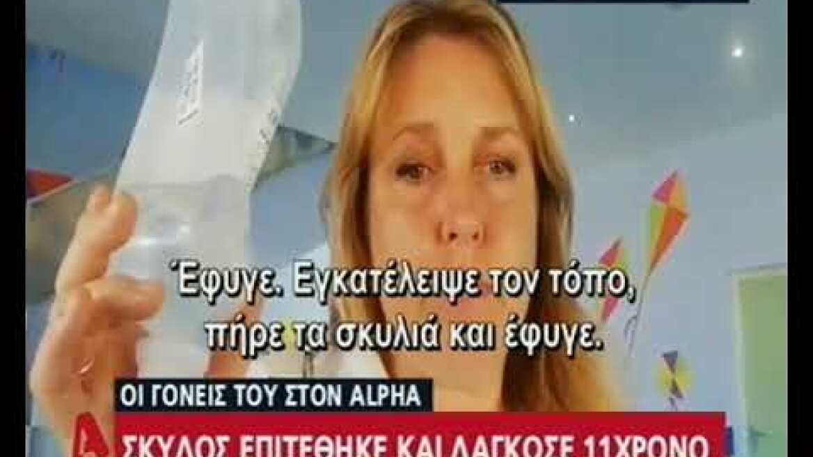 Σκύλος επιτέθηκε σε 11χρονο στην Εύβοια: «Καπνός» μετά την επίθεση η ιδιοκτήτριά του